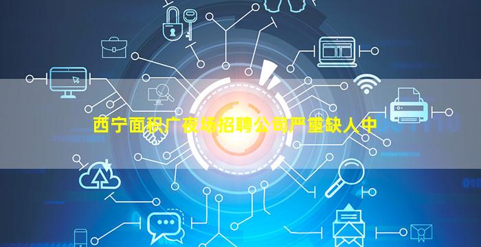 西宁面积广夜场招聘公司严重缺人中